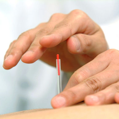 【耳鍼ダイエット】