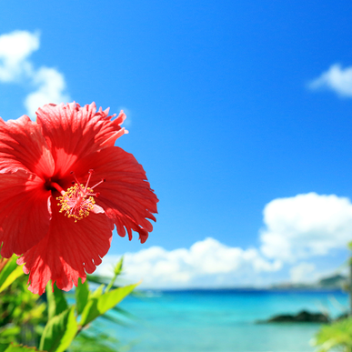 ひかり整骨院夏休みのお知らせ